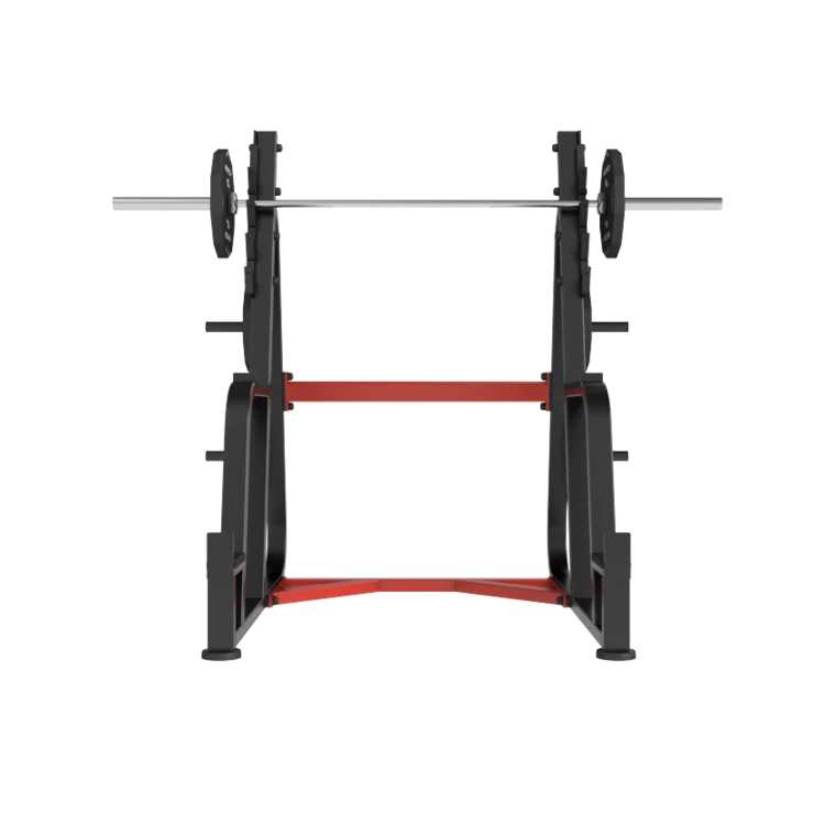 NewTech Squat Rack