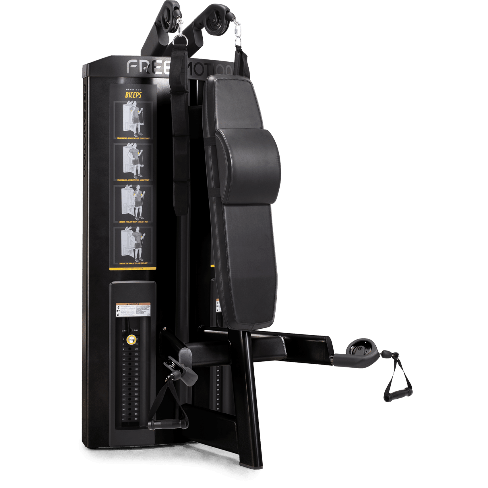 Freemotion GENESIS DS GD501 Abdominal/Biceps
