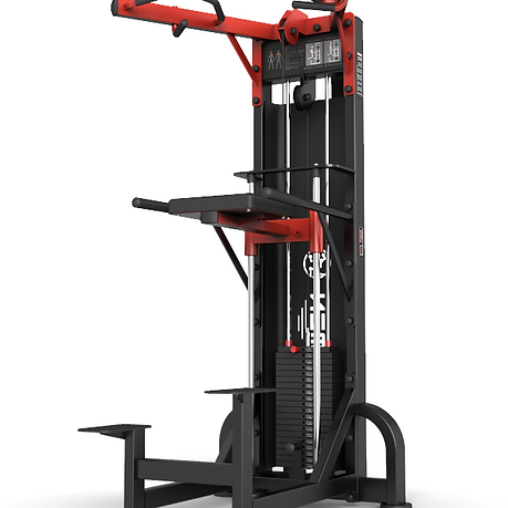 Newtech Advance Line Chin & Dip Assist