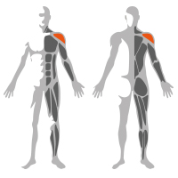 Newtech Advance Line Lateral Raise - Image 2