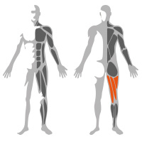 Newtech M-Torture Leg Curl - Image 2