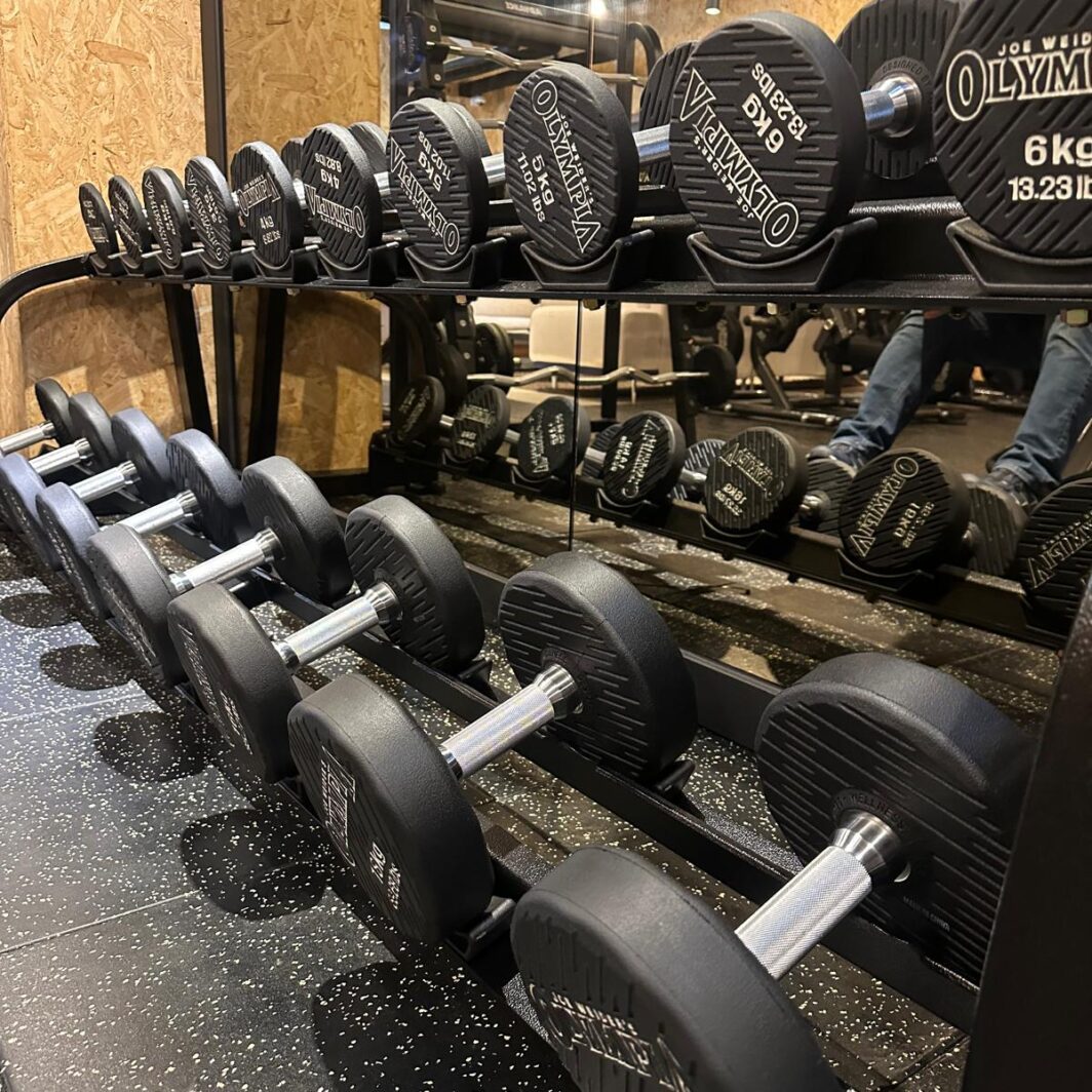 Newtech Olympia Dumbbells